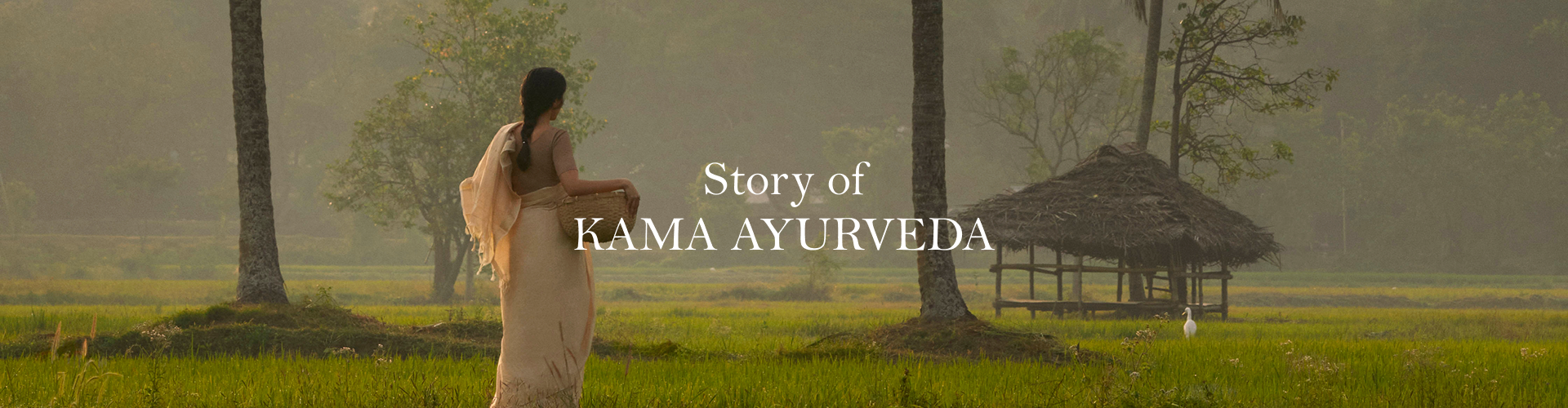 Story of </br>KAMA AYURVEDA