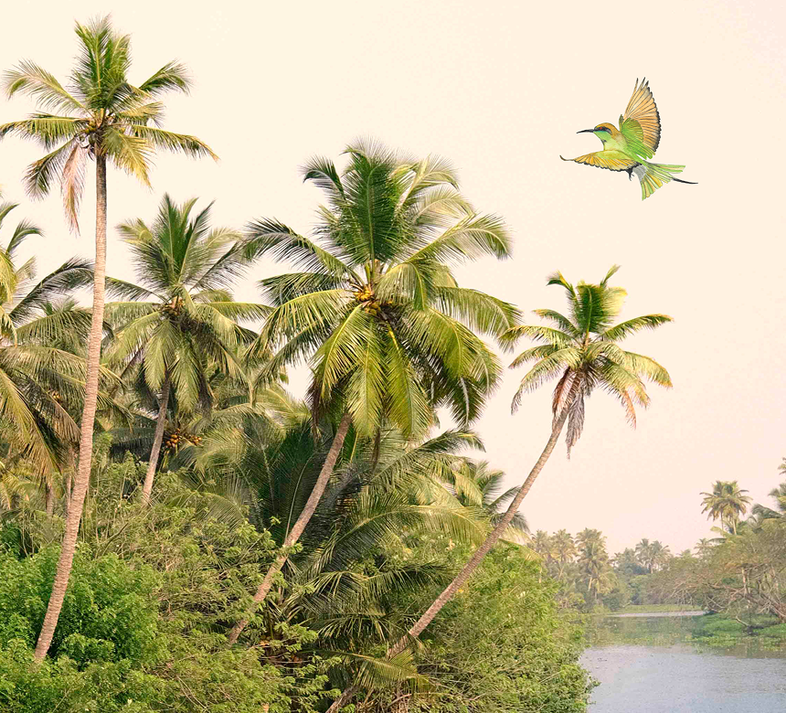 <h3>KIND TO OUR PLANET</h3>