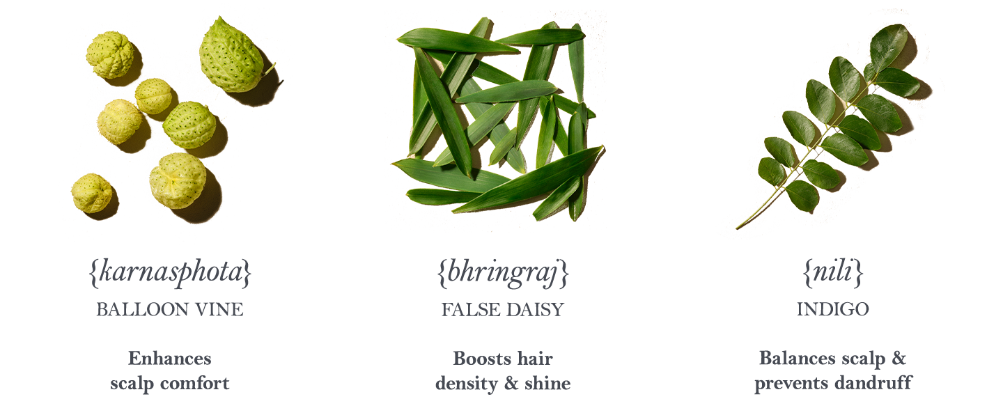 ayurvedic-ingredients