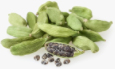 Green cardamom
