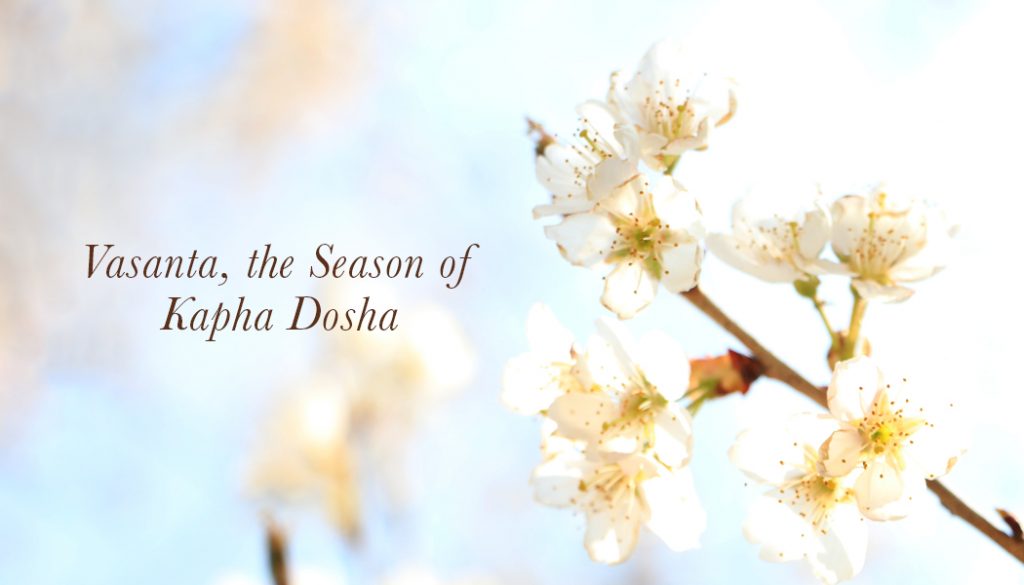 Varṣā, The Season Of Vata Dosha