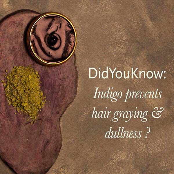 benefits of indigo powder