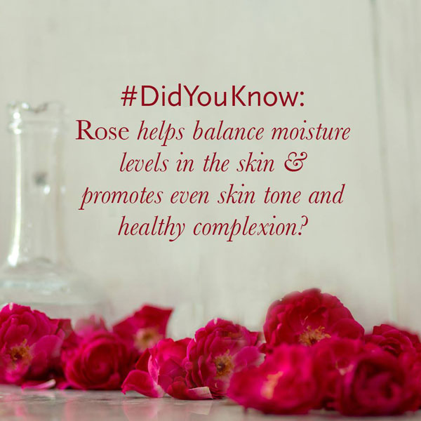 rose for dry skin