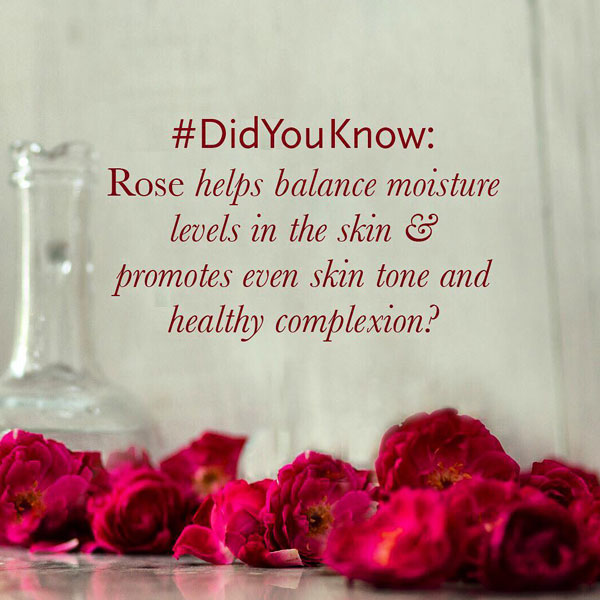 rose water for oily skin