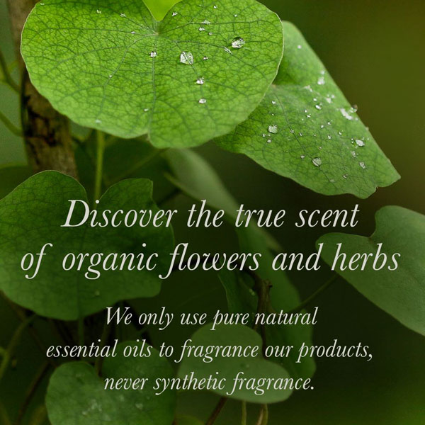 pure eucalyptus oil