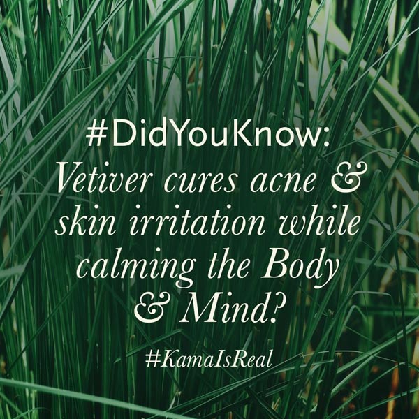 vetiver for skin