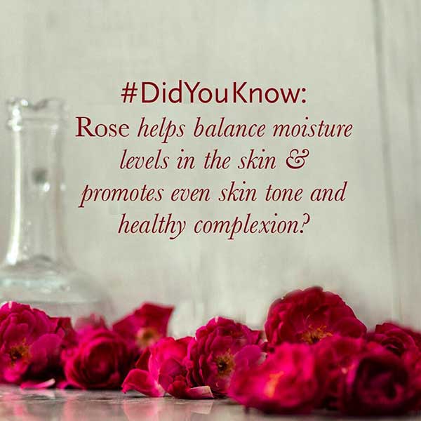 rose water benefits