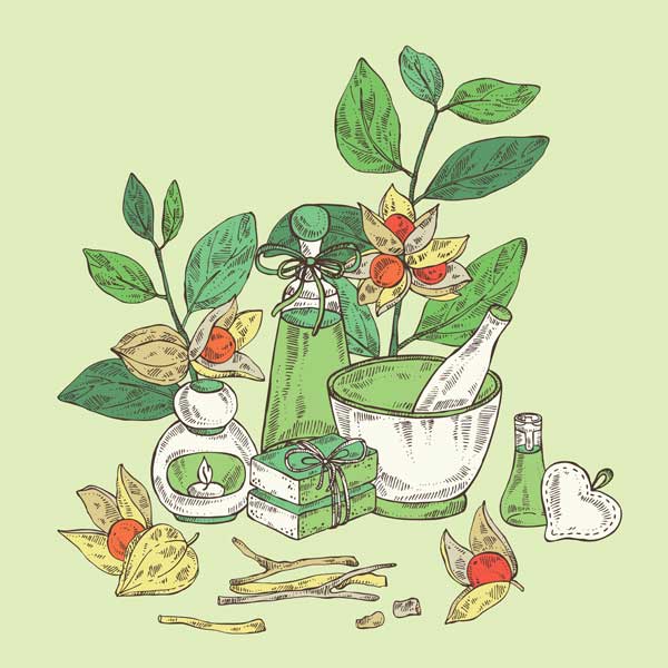 ashwagandha for hair
