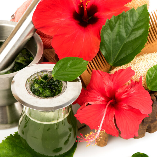 Hibiscus flowers and leaves for hair