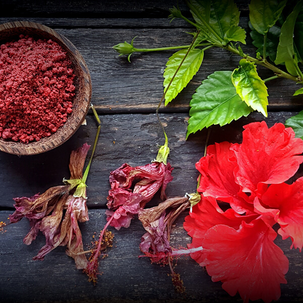 HOMEMADE HIBISCUS HAIR MASK FOR STREAM HAIR GROWTH  No Hairfall  No  Dandruff  No Grey Hair  YouTube