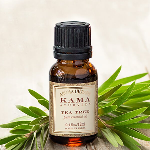 best tea tree oil in india