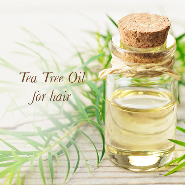 7 Benefits and Uses of Tea Tree Oil for Hair You Need to Know