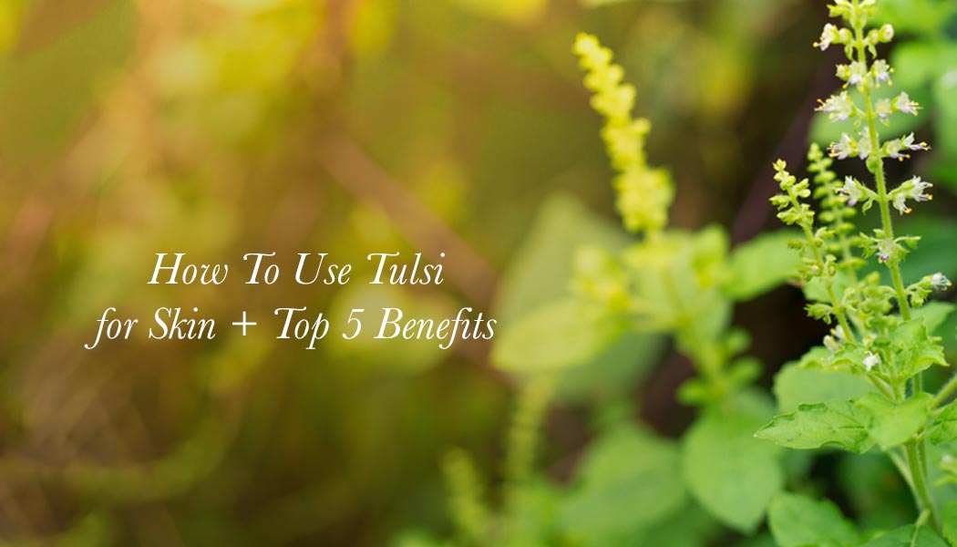 How To Use Tulsi for Skin + Top 5 Benefits