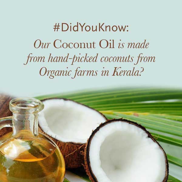 Does Coconut Oil Darken The Skin? Myth or Fact? Kama Ayurveda