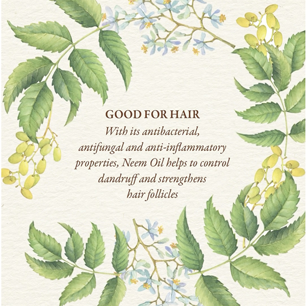 11 Effective Ways To Use Neem Oil For Dandruff Kama Ayurveda