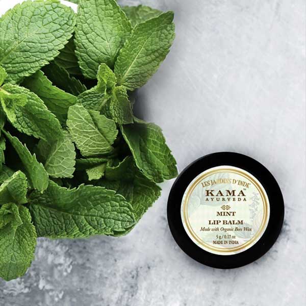 Coconut Oil for Lips Top 10 Benefits and How to Use Kama Ayurveda