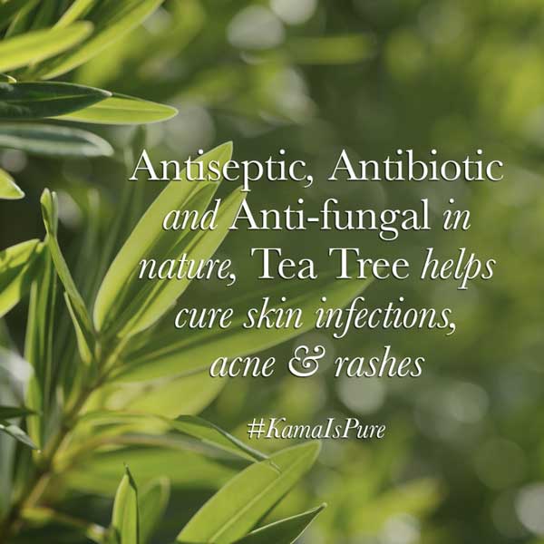 18 Homemade Face Packs For Pimples and Acne Prone Skin Kama Ayurveda